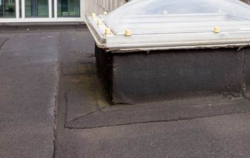 disadvantages of Loganlea flat roofs