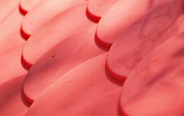 Loganlea plastic roof costs