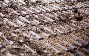 Loganlea roof cleaning companies