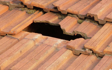 roof repair Loganlea, West Lothian