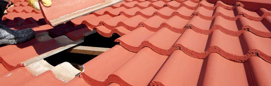 compare Loganlea roof repair quotes